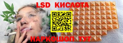 PSILOCYBIN Моздок