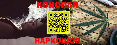 PSILOCYBIN Моздок
