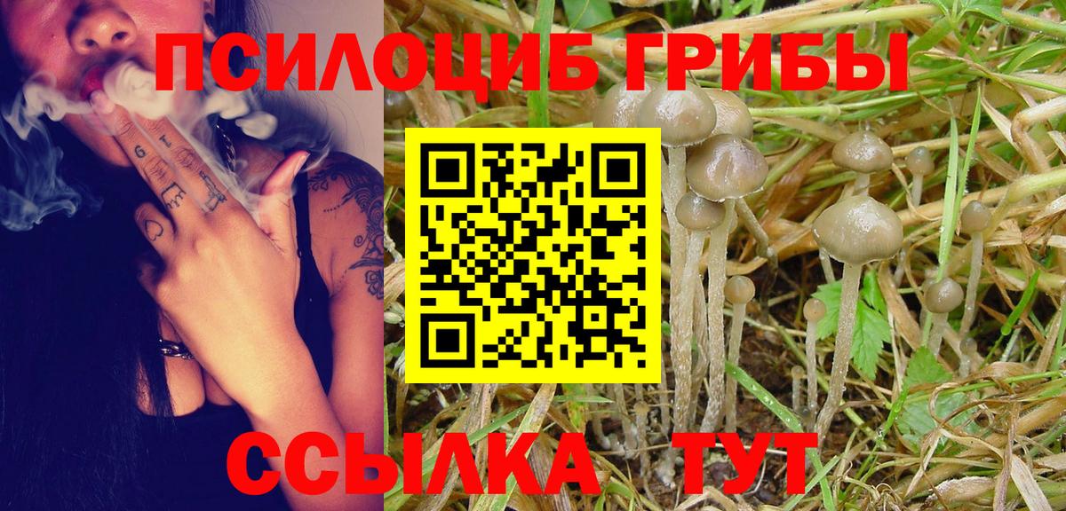 Галлюциногенные грибы ЛСД  Вход с VPN  Шадринск 